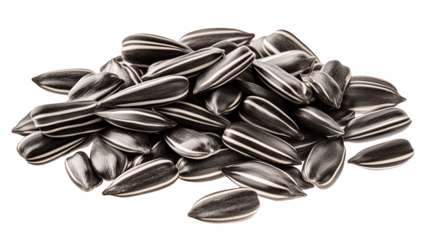 সূর্যমুখী বীজ (Sunflower Seeds) – Sunam Food