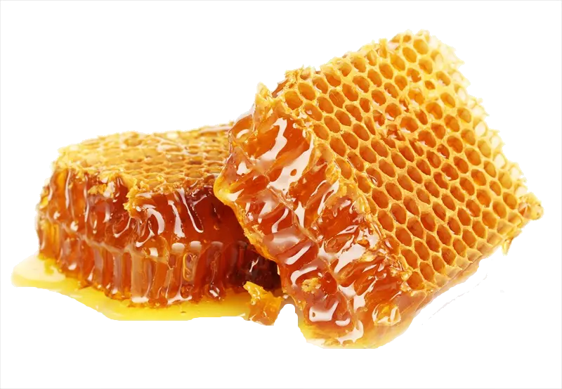 খাঁটি চাকের মধু (Natural Comb Honey) – Sunam Food