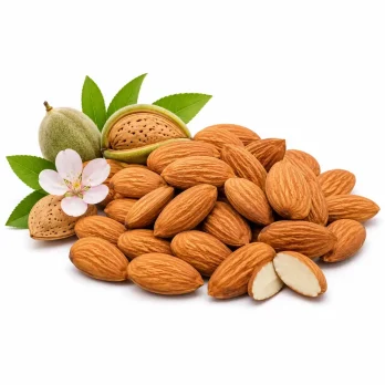 কাঠ বাদাম (Almonds)