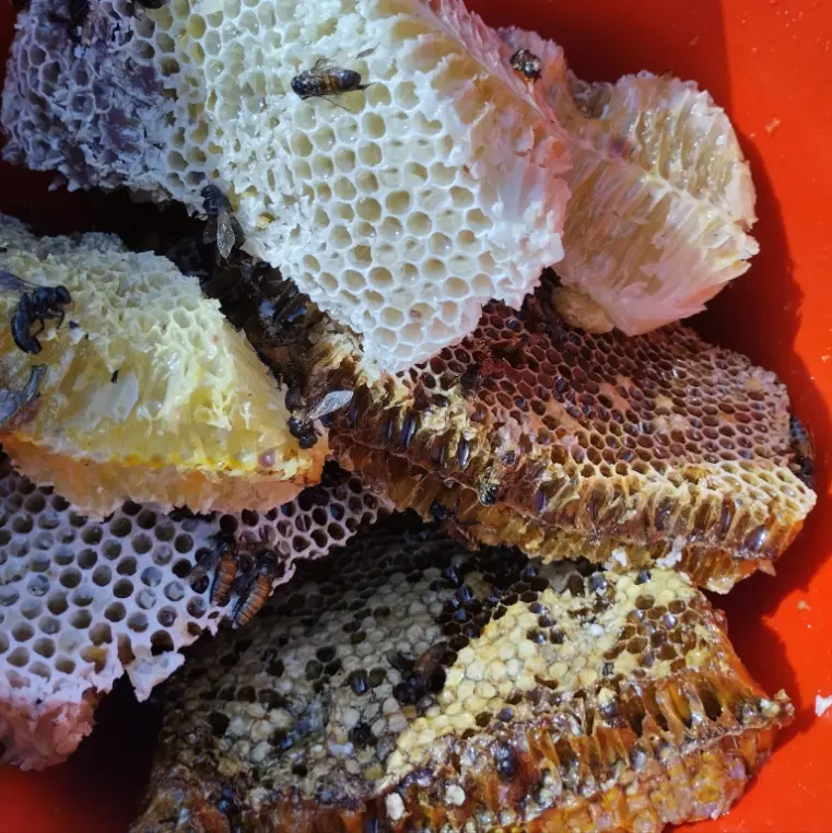 গ্রামের প্রাকৃতিক চাকের মধু (Village Natural Comb Honey) – Sunam Food
