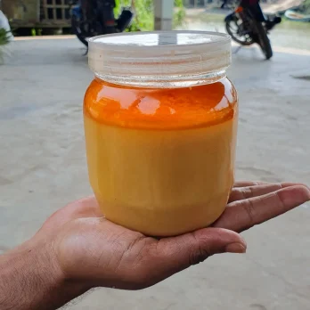 গাওয়া ঘি (Pure Cow Ghee)