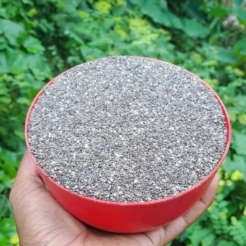 চিয়া সিড (Chia Seeds)