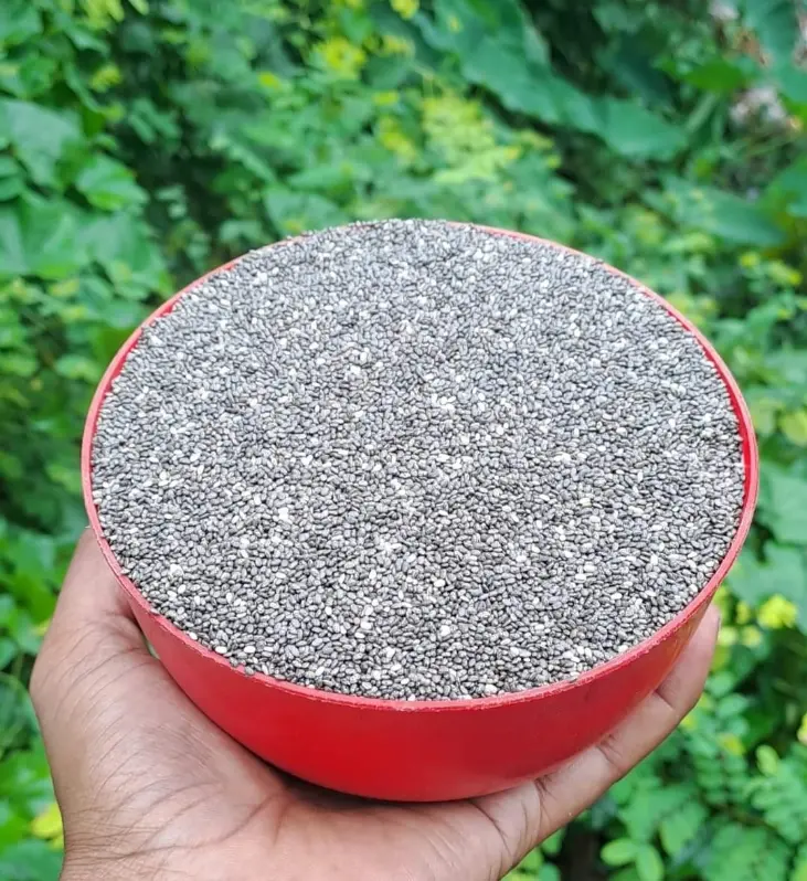 চিয়া সিড (Chia Seeds) – Sunam Food – ছবি 2