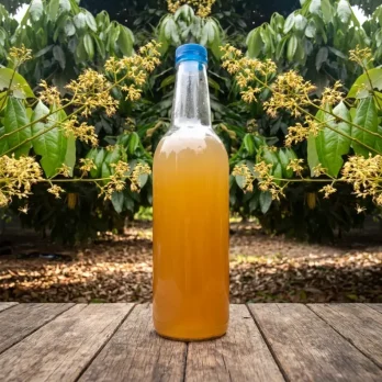 লিচু ফুলের মধু (Litchi Flower Honey)
