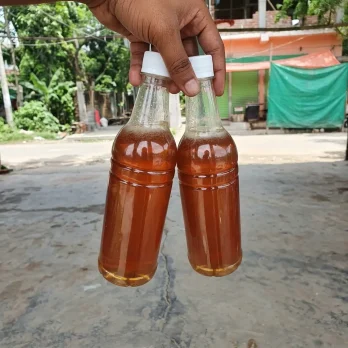সুন্দরবনের প্রাকৃতিক চাকের মধু (Sundarbans Natural Comb Honey)