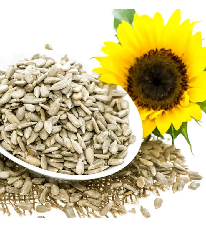 সূর্যমুখী বীজ (Sunflower Seeds) – Sunam Food – ছবি 2